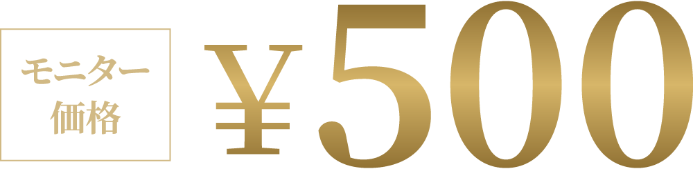 モニター価格500円