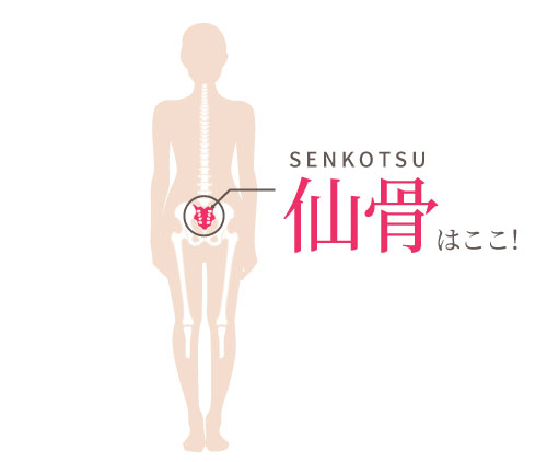 仙骨の場所