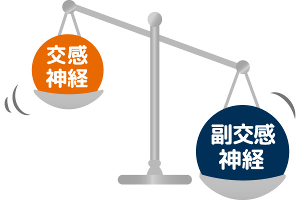 交感神経と副交感神経の図