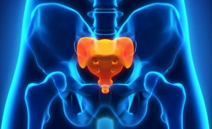 仙骨をあたためると何故いいの?